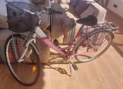 Vélo Dame ou Fille