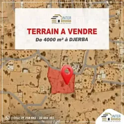 À Vendre un Terrain de 4000 m² à Mezraya