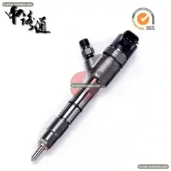 Common Rail Fuel Injector 0 445 110 719