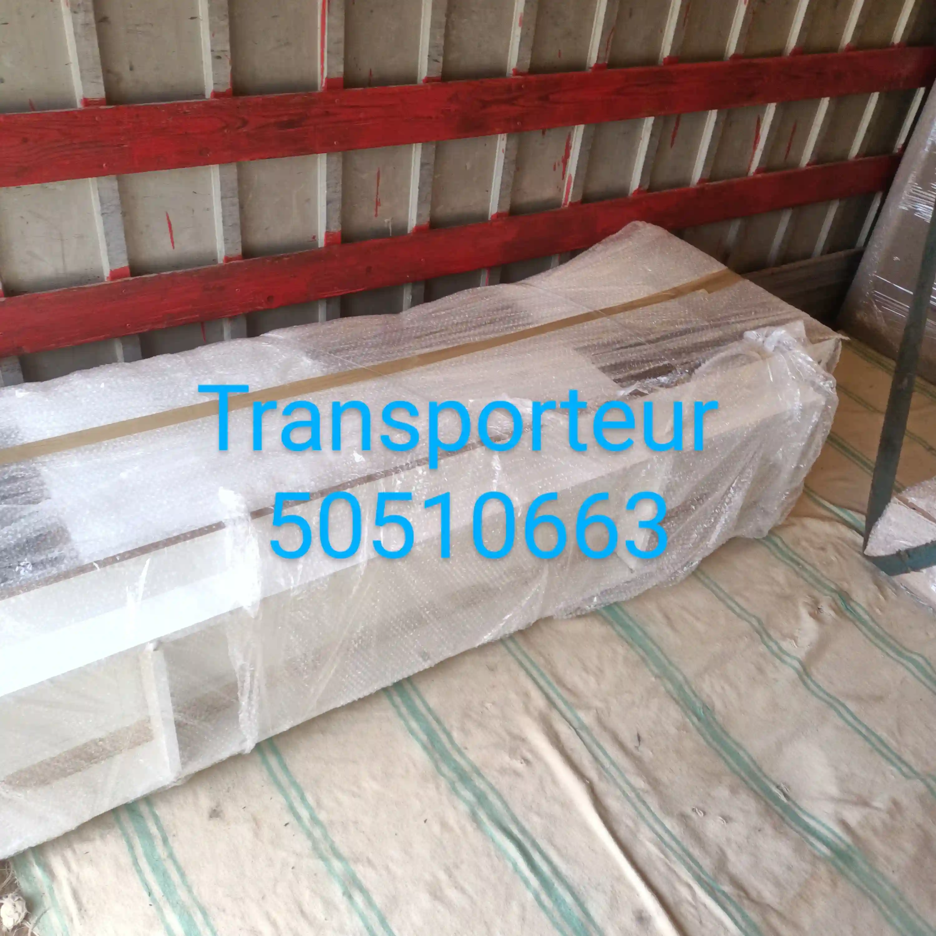 50510663 Transporteur Déménagement à Mannouba - Vue 2