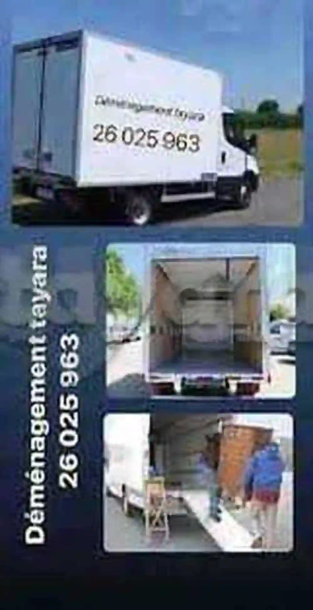 Spécialiste Déménagement 26025963 Transporteur0