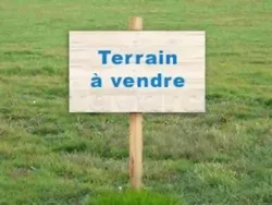 Terrain rte Gremda Première Position