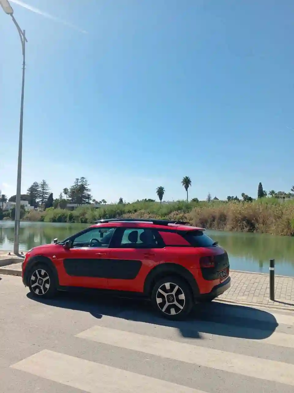 C4 Cactus en Très Bonne État à Monfleury - Vue 1