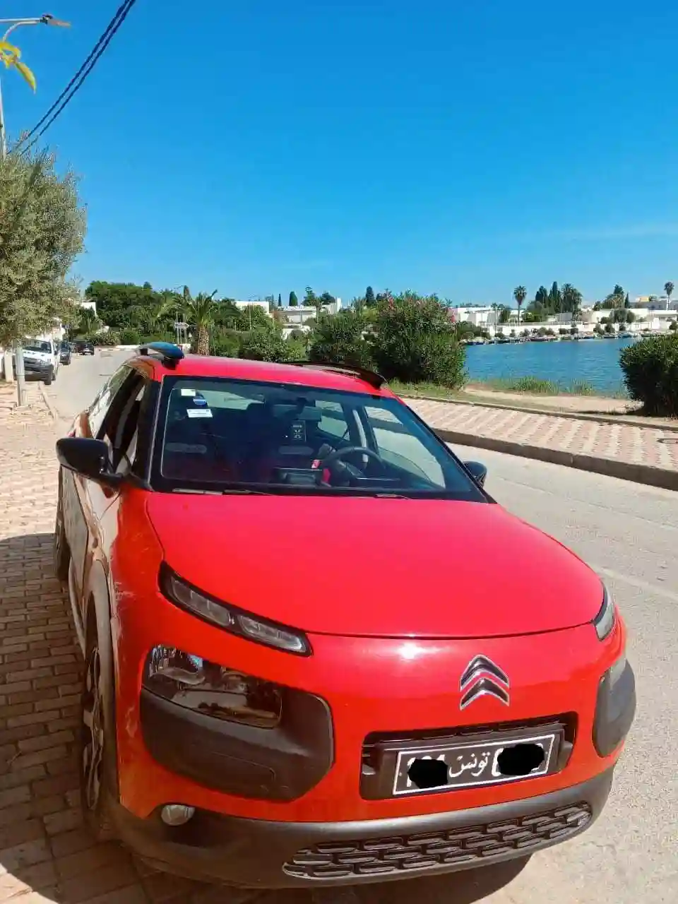 C4 Cactus en Très Bonne État à Monfleury - Vue 2
