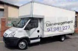 Service Déménagement 97981227 Transporteur