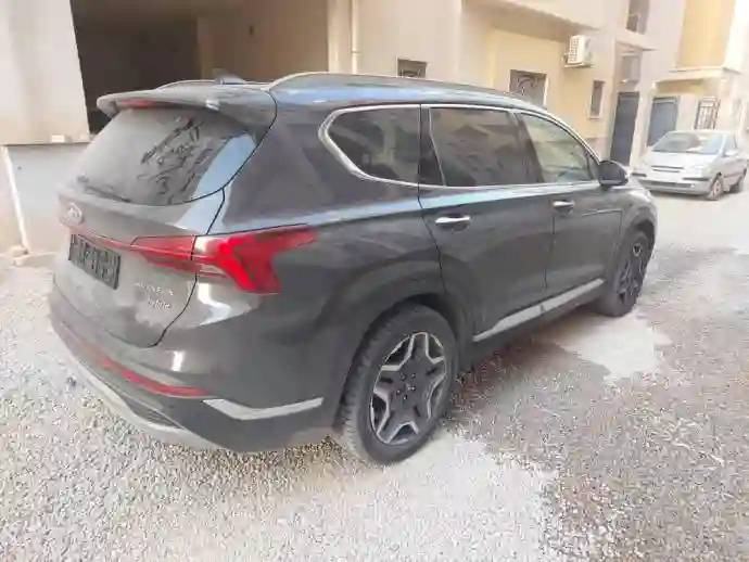 Hyundai Santa Fe 20220