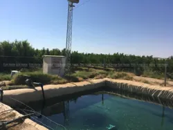 Ferme à Mezzouna Sidi Bouzid