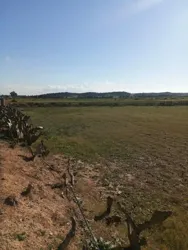 Av Terrain 6 Hectares Avec Sondage sur la Route à Zaghouan