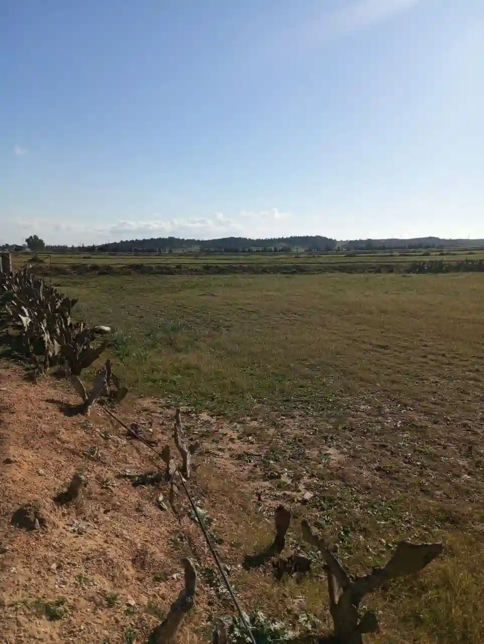 Av Terrain 6 Hectares Avec Sondage sur la Route à Zaghouan0