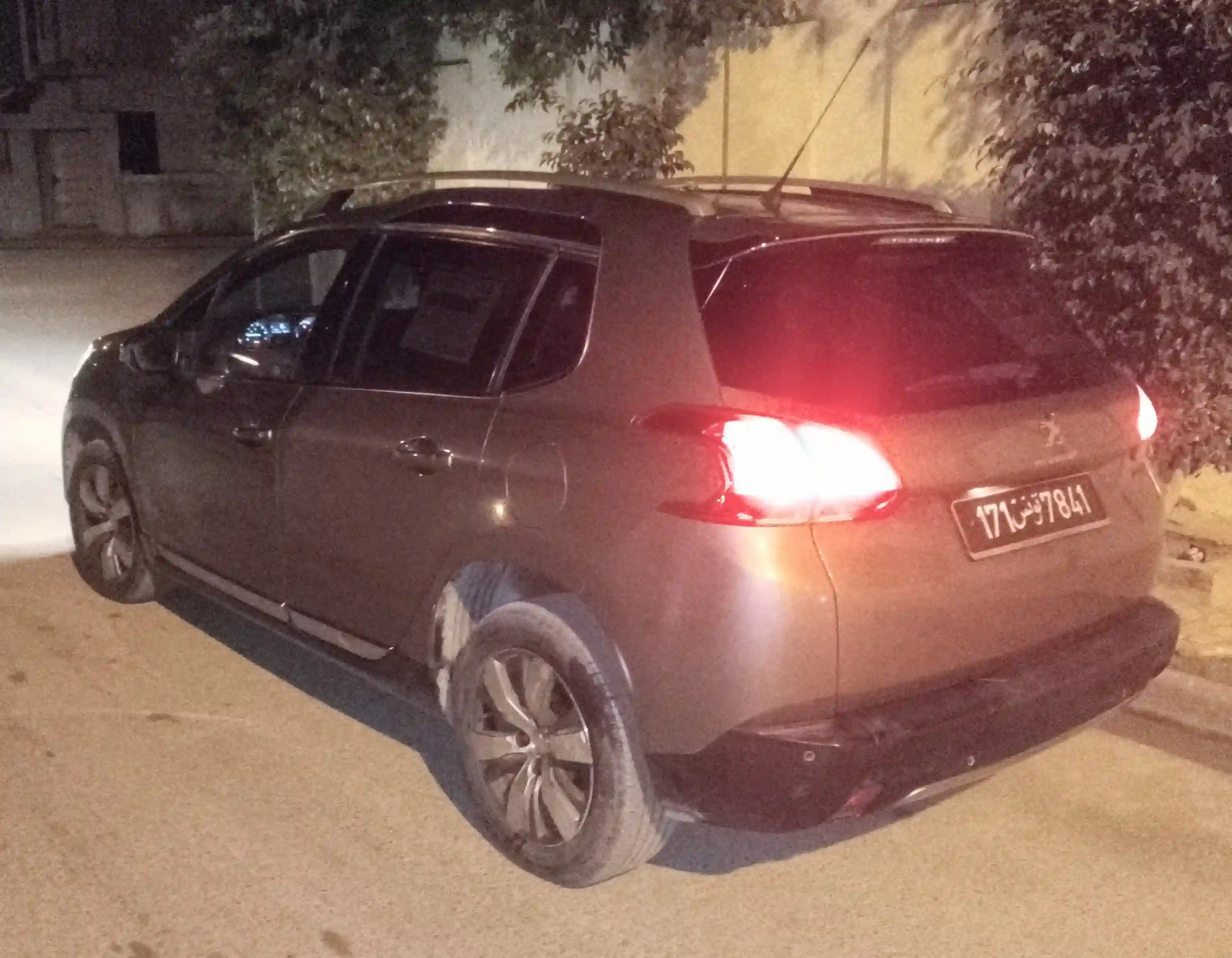 Peugeot 20080