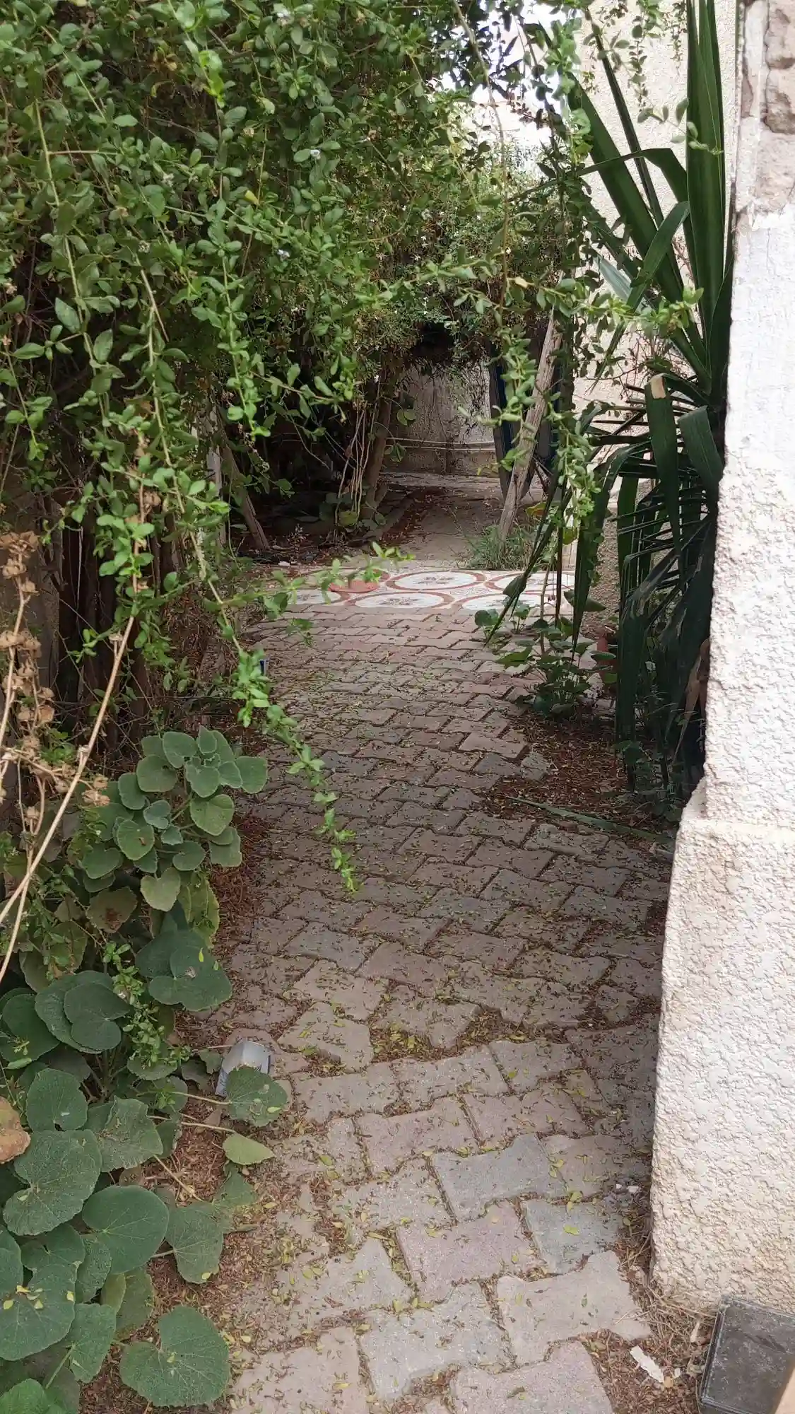 A Vendre Maison Avec Jardin a Manouba - Vue 2