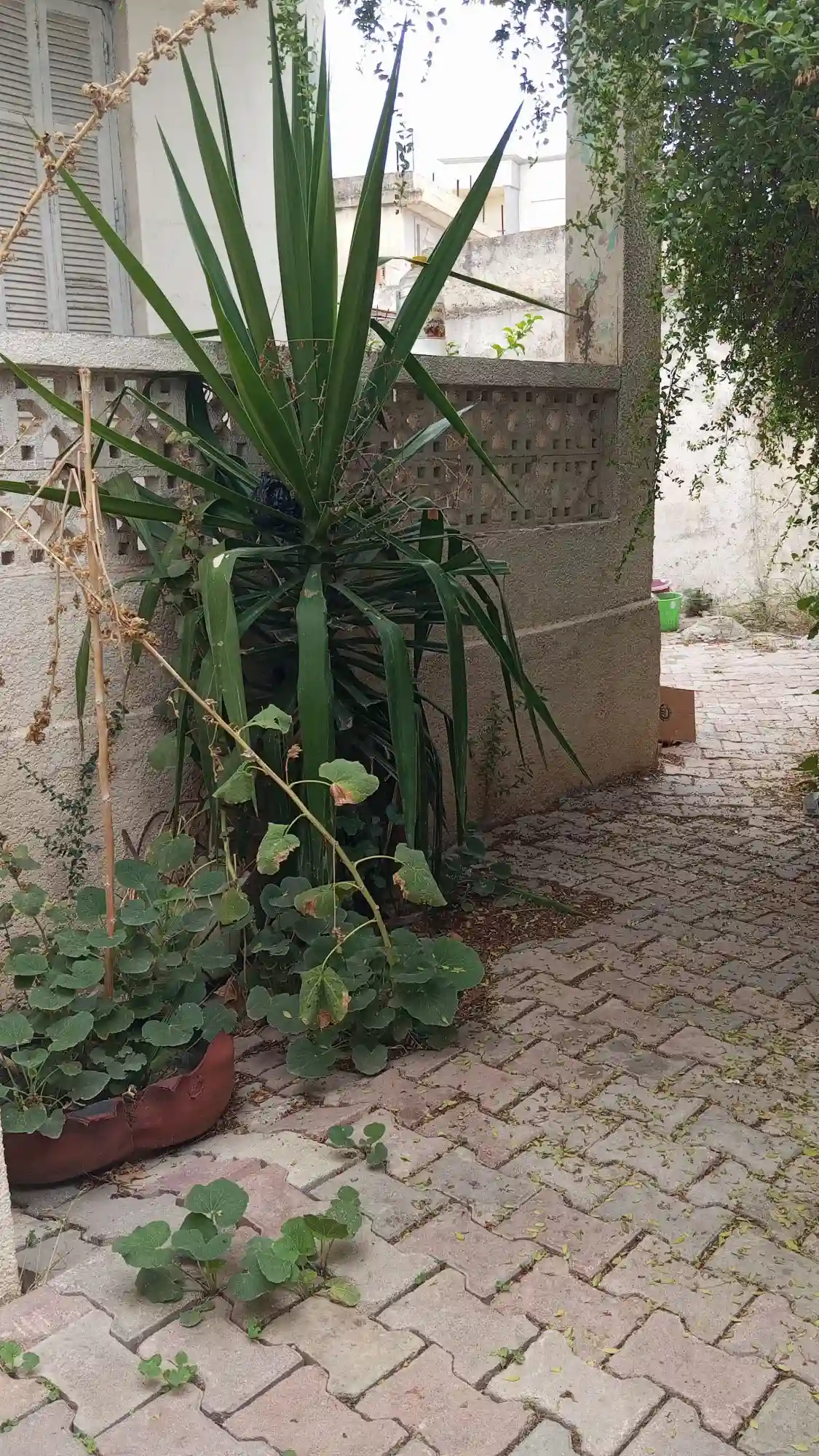 A Vendre Maison Avec Jardin a Manouba - Vue 6
