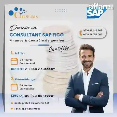 Formation Devenir Consultant SAP Fico0