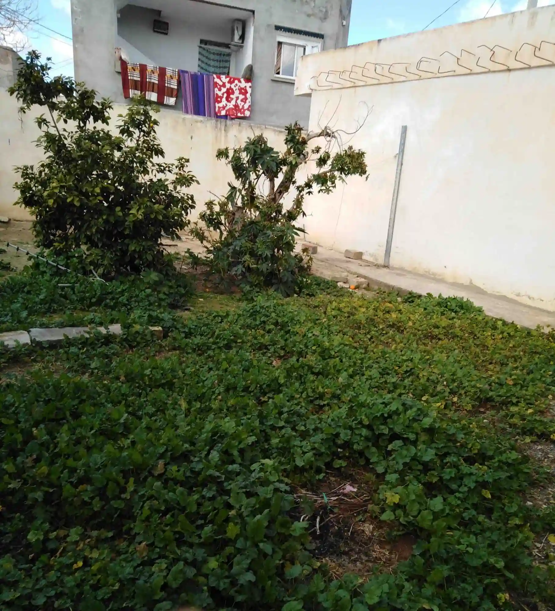 Vente D'une Maison Studio en bon État à Siliana - Vue 2