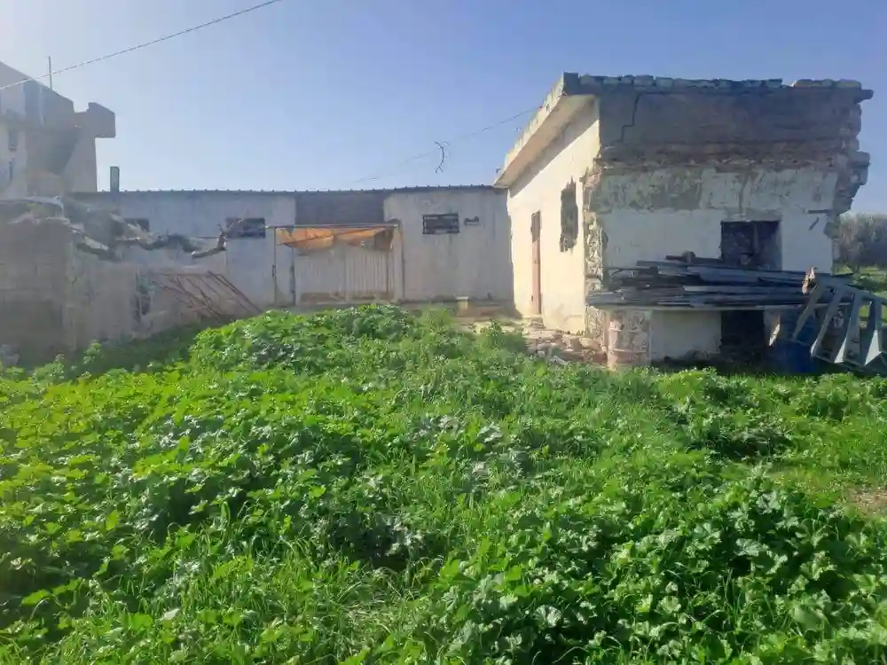 سانية للبيع - Vue 2