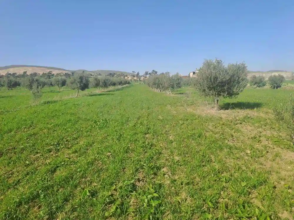 سانية للبيع - Vue 4