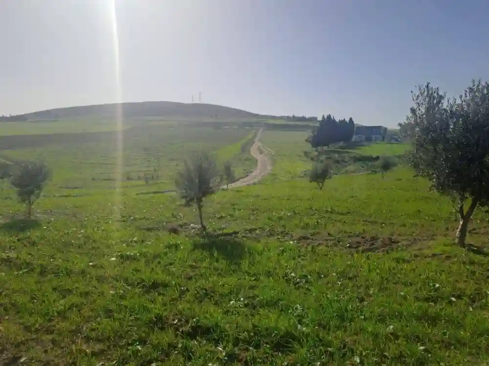سانية للبيع - Vue 8