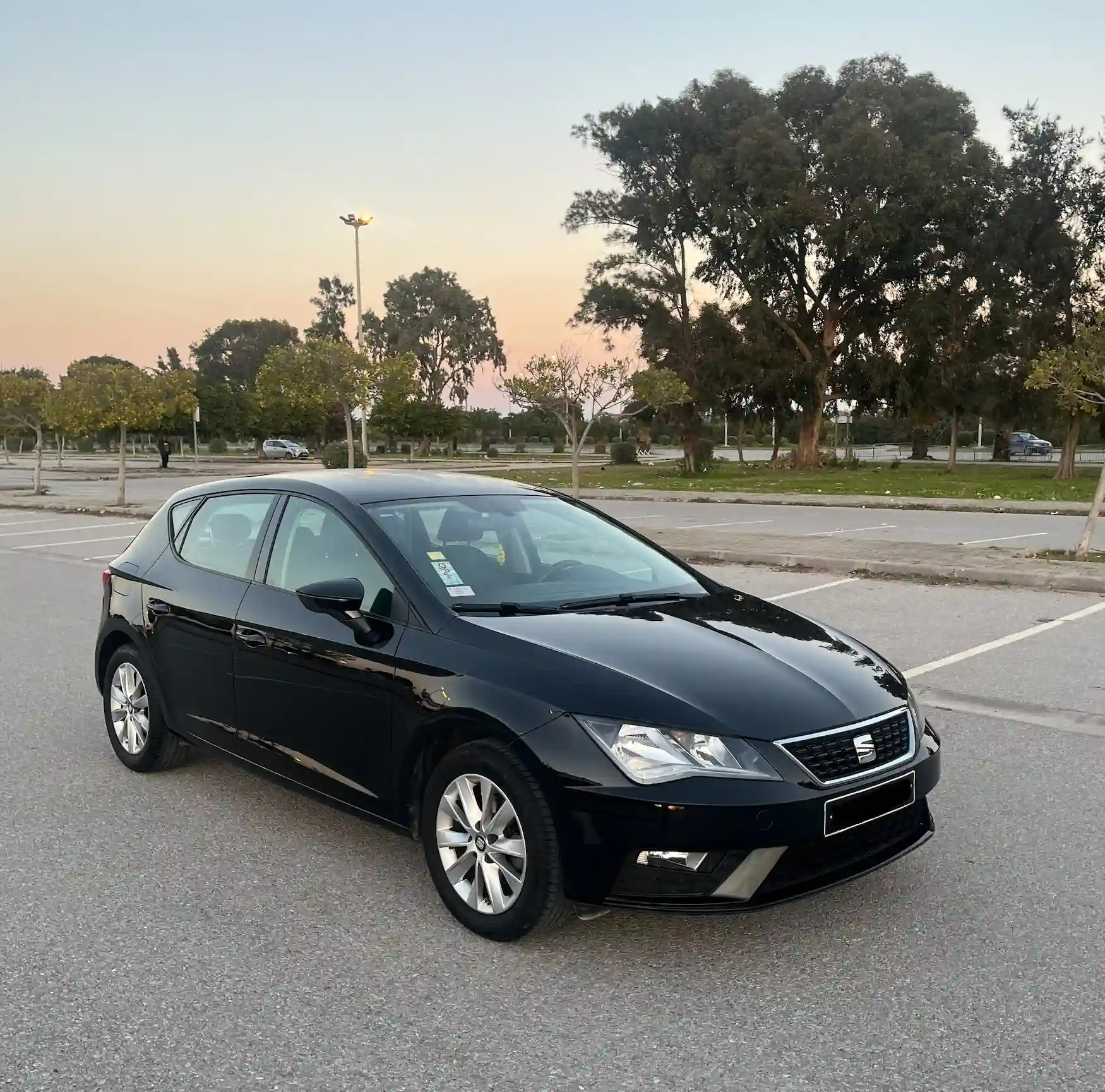 Belle Seat Leaon à Rades - Vue 1