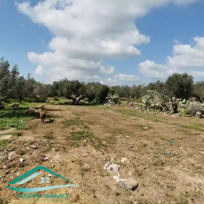 Terrain 500 m2 à Cité Tahert Kelibia à Kelibia - Vue 1