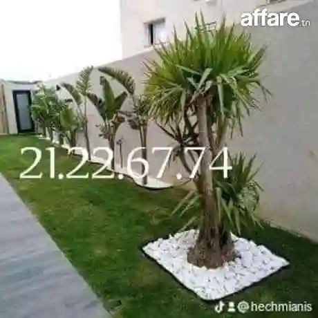21226774 Vente et Installation Gazon Naturelle 🔥 Américain - Vue 4