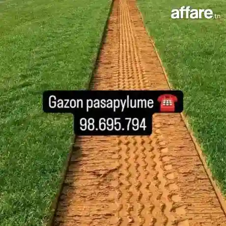 21226774 Tendance Déco Jardin Tunisie ☎️ Plantation Gazon - Vue 1