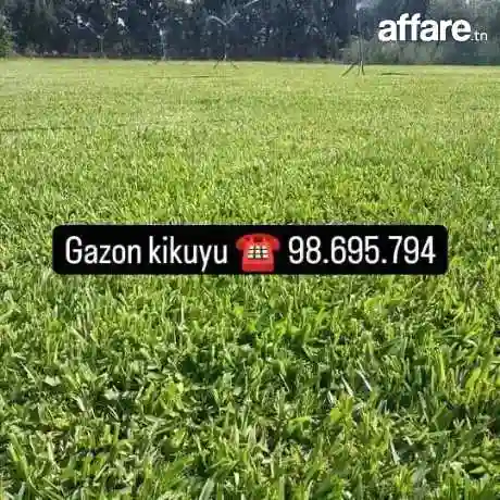 21226774 Tendance Déco Jardin Tunisie ☎️ Plantation Gazon - Vue 3