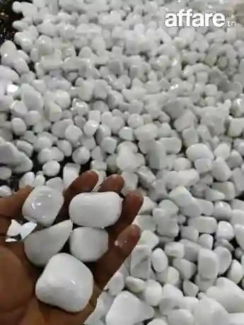 21226774 Tendance Déco Jardin Tunisie ☎️ Plantation Gazon - Vue 5