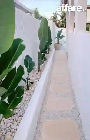 21226774 Tendance Déco Jardin Tunisie ☎️ Plantation Gazon - Vue 6