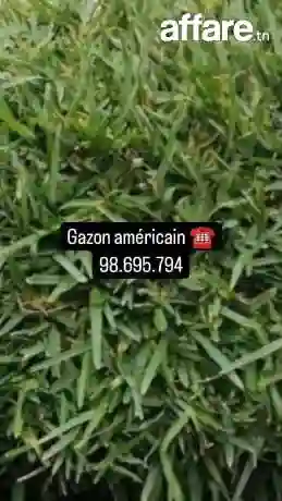 21226774 Tendance Déco Jardin Tunisie ☎️ Plantation Gazon - Vue 7