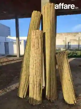 Canisse Pour Décoration - Vue 1