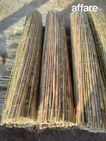 Canisse Pour Décoration - Vue 6