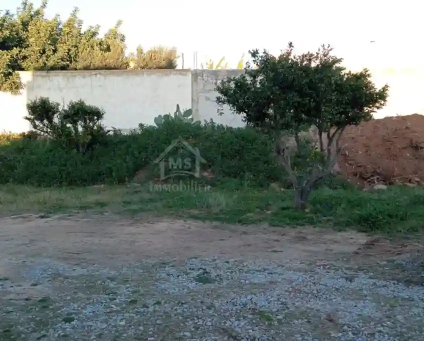 Un lot de Terrain de 500 m² à Hammamet à Vendre 51355351 - Vue 3