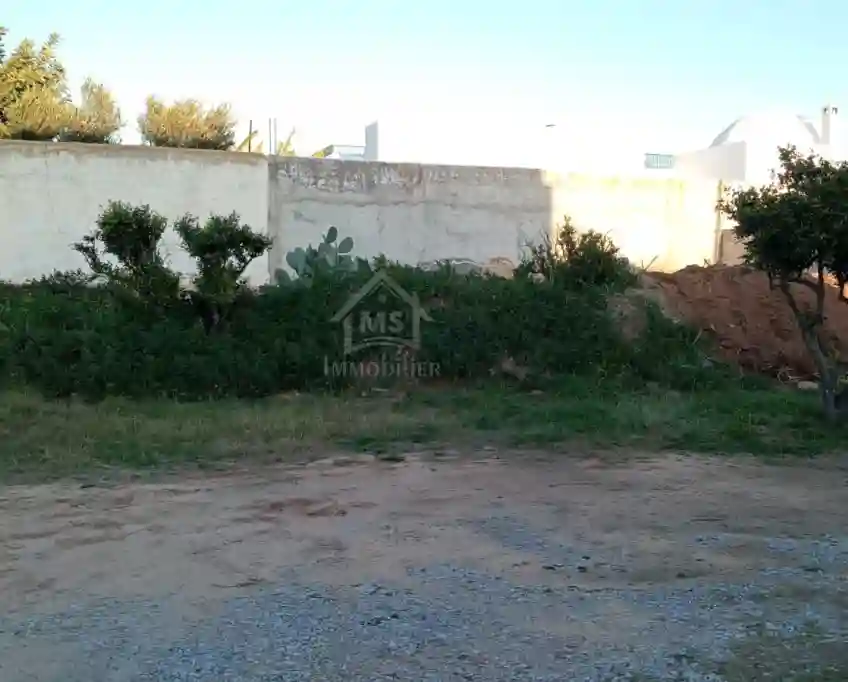 Un lot de Terrain de 500 m² à Hammamet à Vendre 51355351 - Vue 5