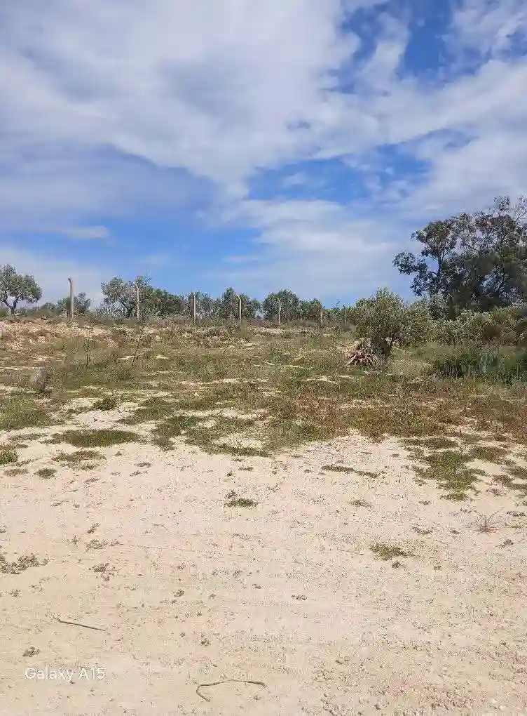 A Vendre 1000 m² Située à Akouda Zone Industrielle - Vue 1