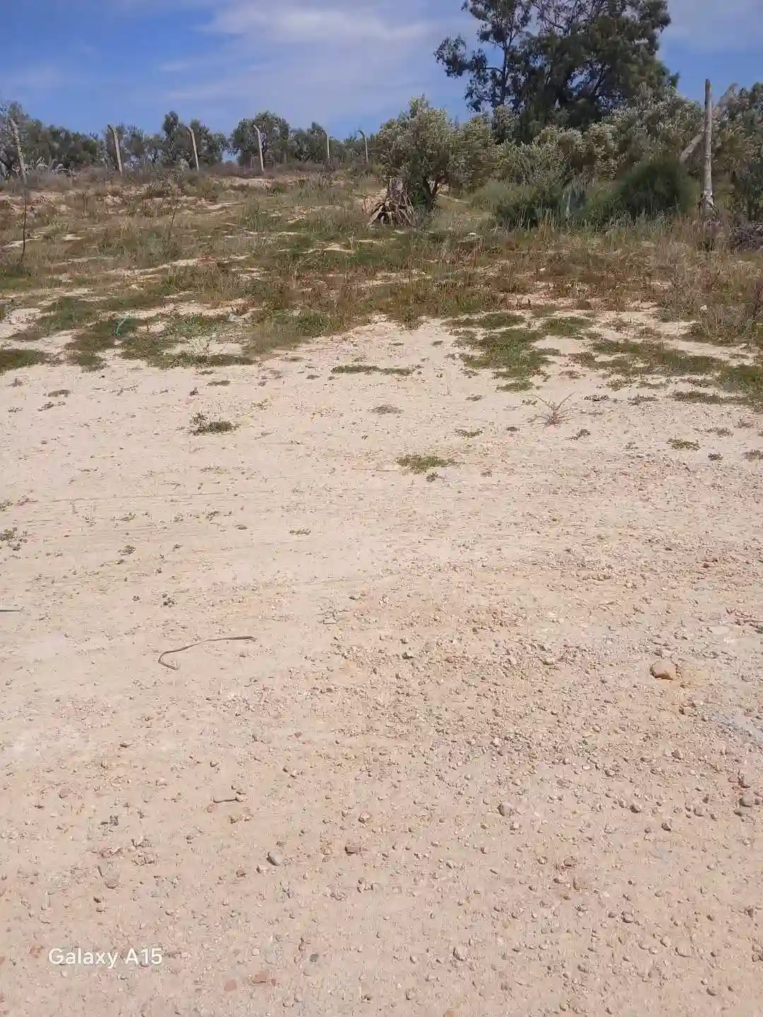 A Vendre 1000 m² Située à Akouda Zone Industrielle - Vue 4