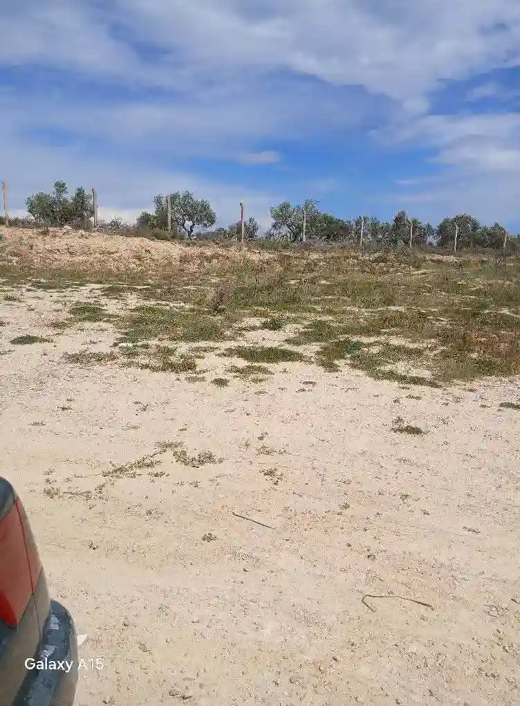 A Vendre 1000 m² Située à Akouda Zone Industrielle - Vue 5