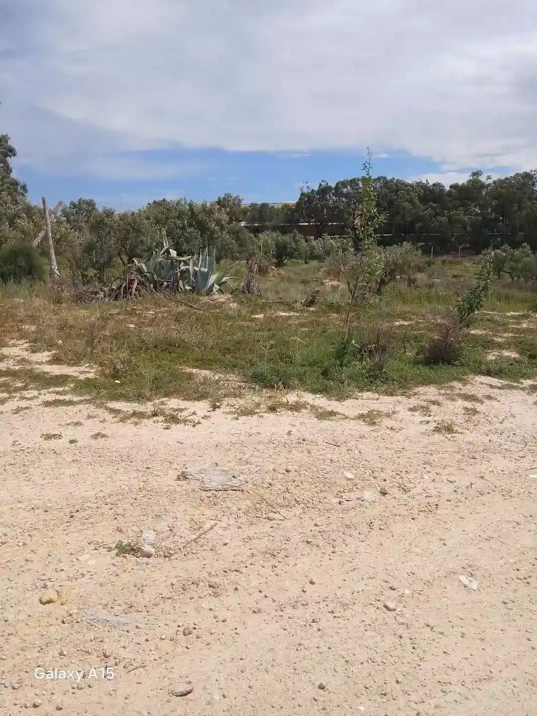 A Vendre 1000 m² Située à Akouda Zone Industrielle - Vue 6