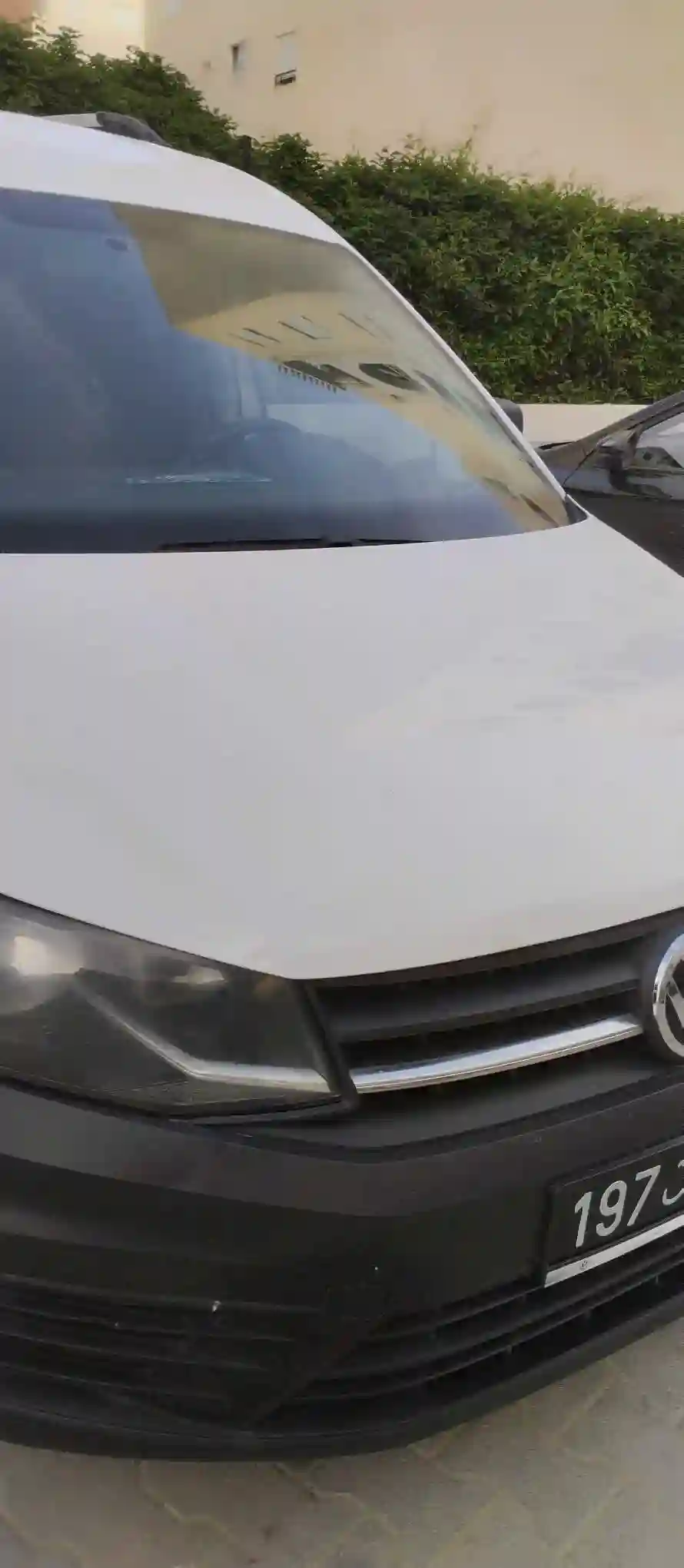 Caddy - Vue 3