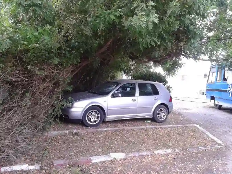 Volkswagen Golf 4 19 TDI 110 cv - Vue 4