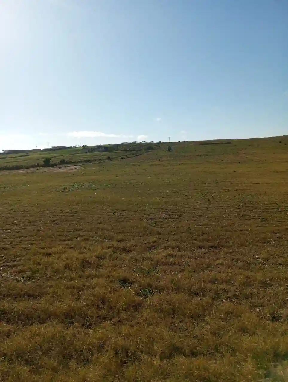 Av 6 Hectares sur la Route à Zaghouan - Vue 2
