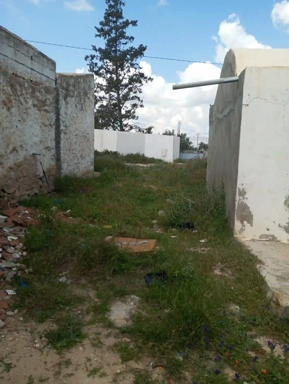 Av Maison Arabe 250m à 30md à Zaghouan - Vue 1