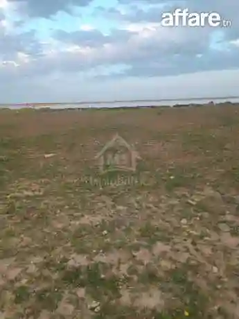 Terrain Pieds Dans L'eau de 9716 m² à Korba à Vendre - Vue 1