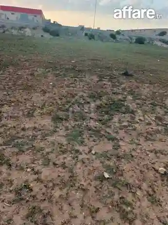 Terrain Pieds Dans L'eau de 9716 m² à Korba à Vendre - Vue 4