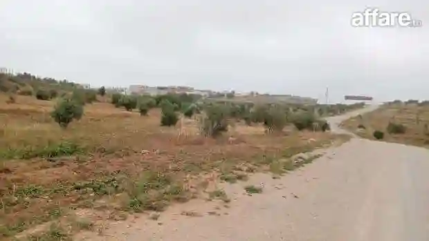 Un Superbe lot de Terrain de 382 m² à Hammamet Sud à Vendre - Vue 3