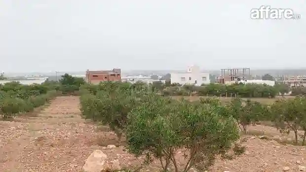 Un Superbe lot de Terrain de 382 m² à Hammamet Sud à Vendre - Vue 6