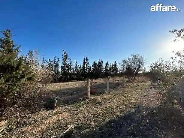 Tres Joli Terrain nu au Kef Ouest Zone D'avenir - Vue 1