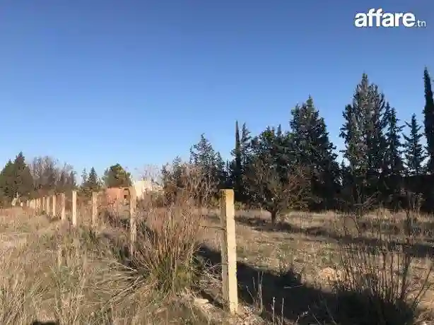 Tres Joli Terrain nu au Kef Ouest Zone D'avenir - Vue 2