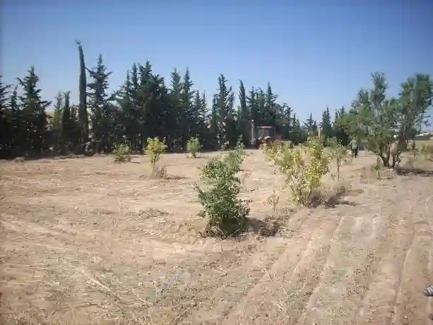Tres Joli Terrain nu au Kef Ouest Zone D'avenir - Vue 6