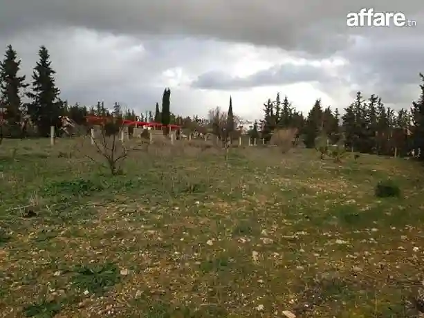 Tres Joli Terrain nu au Kef Ouest Zone D'avenir - Vue 8