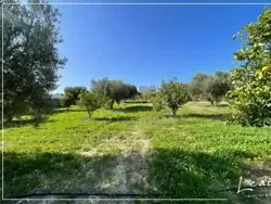 𝐓𝐞𝐫𝐫𝐚𝐢𝐧 𝐚̀ 𝐕𝐞𝐧𝐝𝐫𝐞 – 𝐇𝐚𝐦𝐦𝐚𝐦𝐞𝐭 Superficie Totale 1400 m²